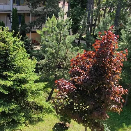 Onebeach * Шиофок